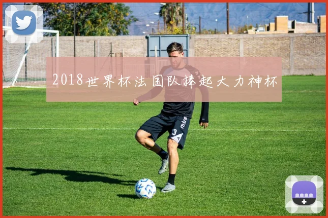 2018世界杯法国队捧起大力神杯