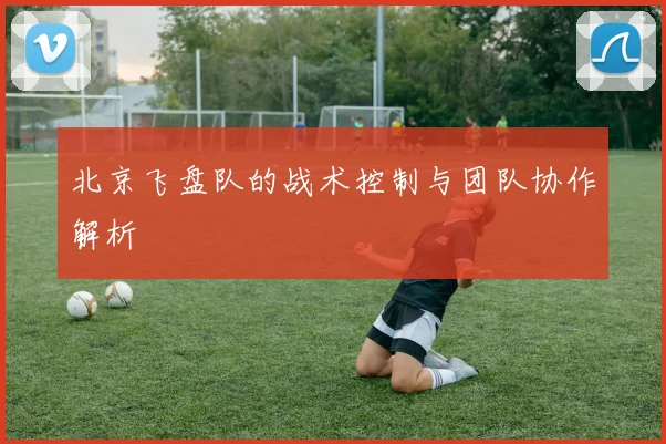 北京飞盘队的战术控制与团队协作解析